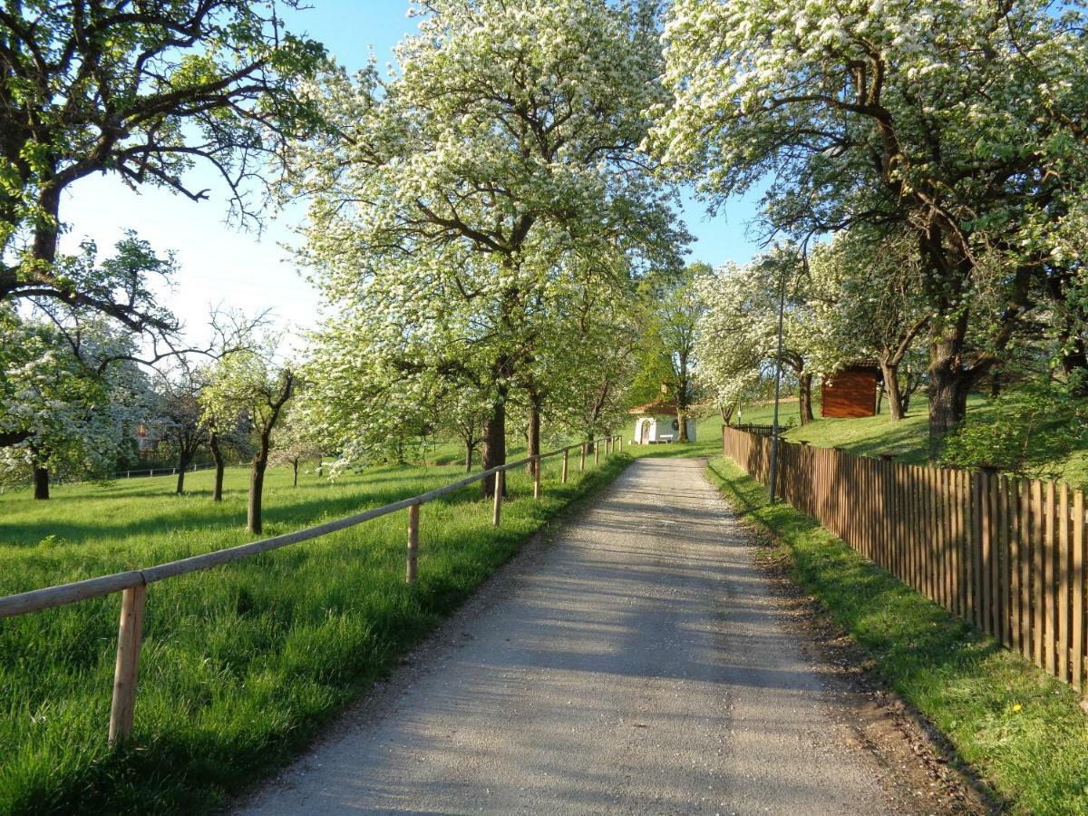 Apartments Himmelreich Ternitz Luaran gambar